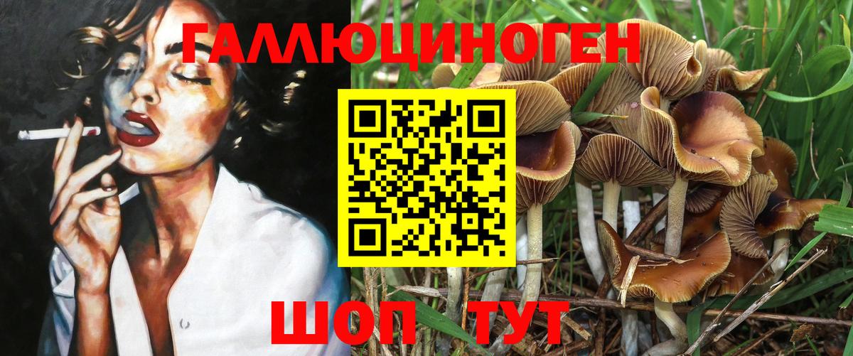 Волжск  Псилоцибиновые грибы Psilocybine cubensis  Вход с VPN 